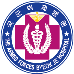 군부대 로고 13